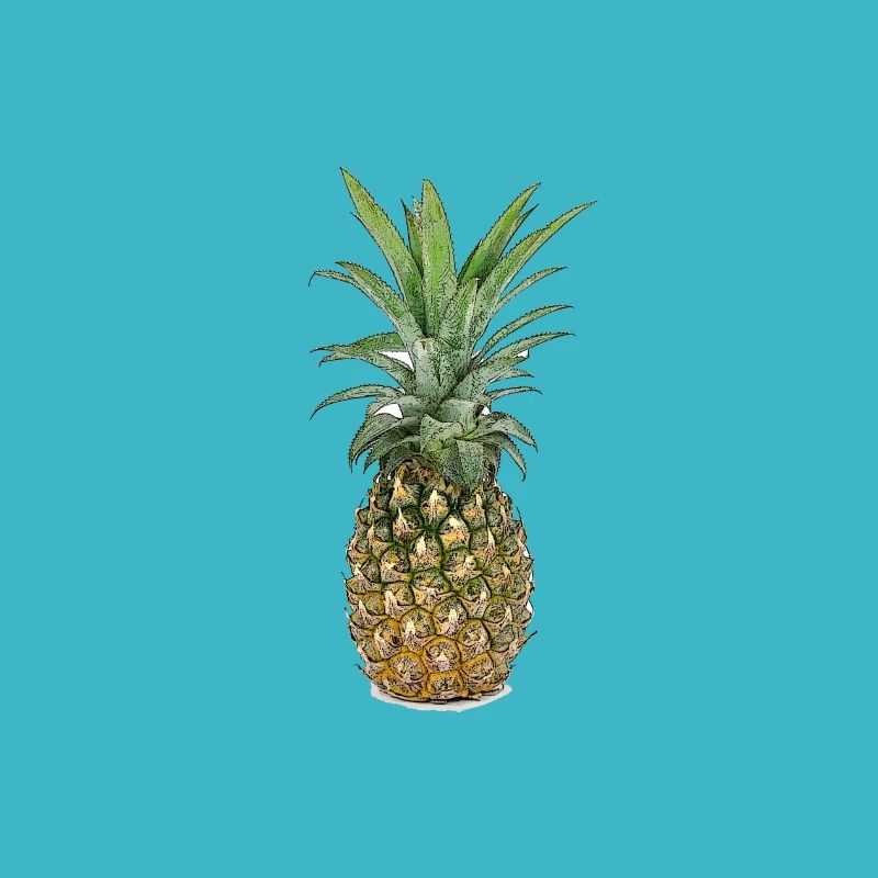 Pineapple | Pineapple