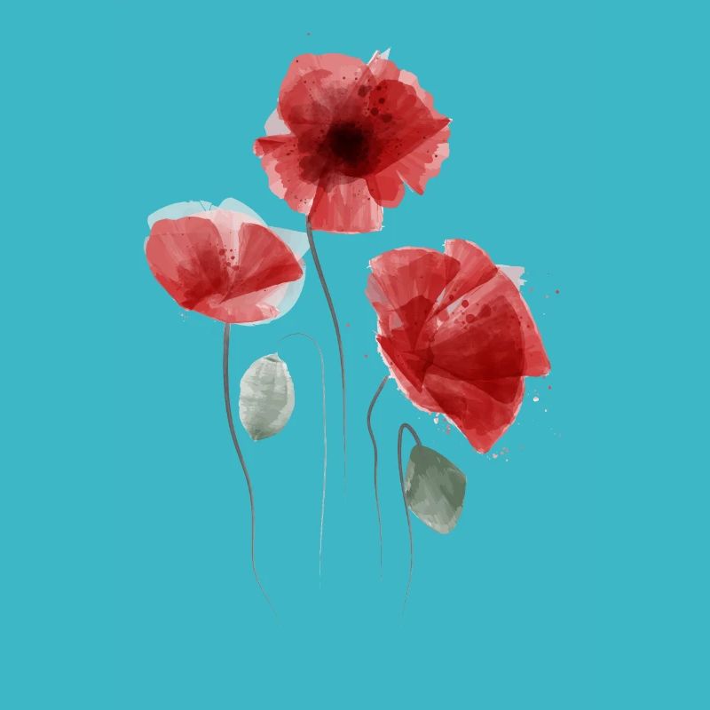 Mohn