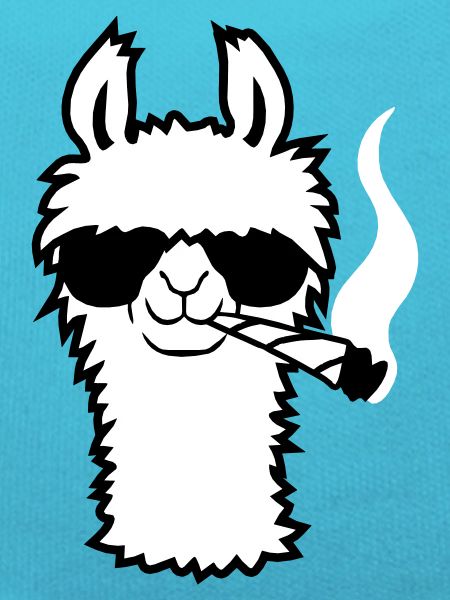 Lama With Joint