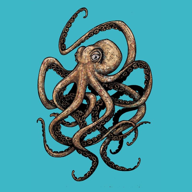 Octopus