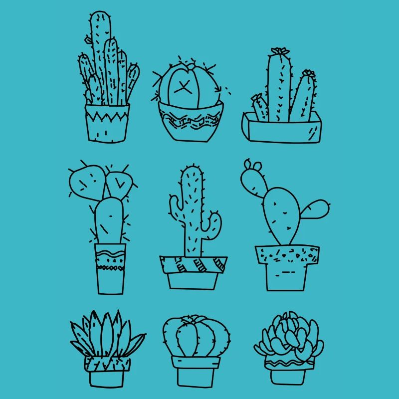 6 different cacti