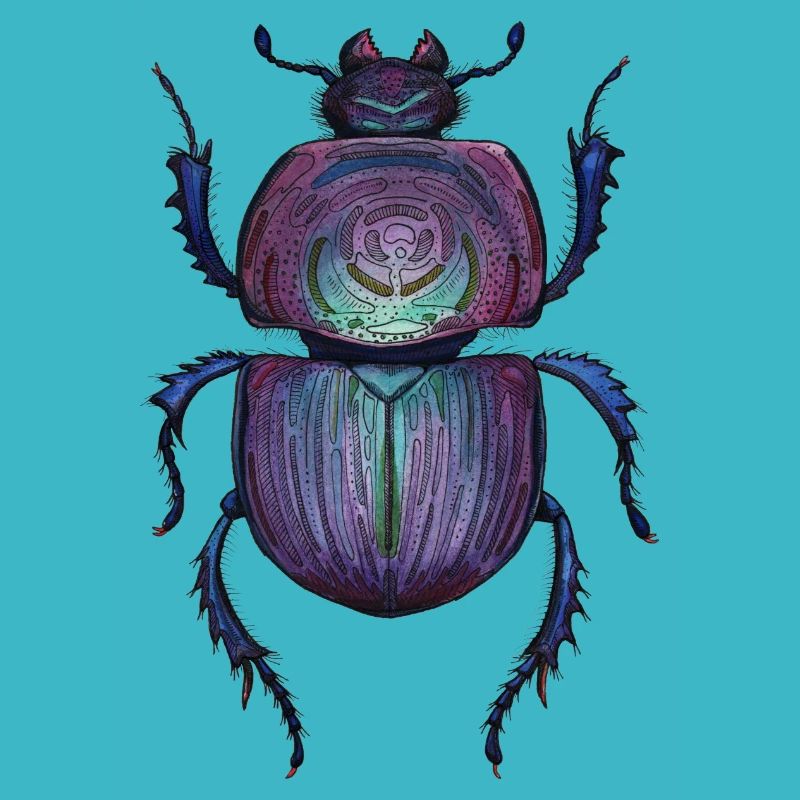 Big Beetle - Coléoptère géant