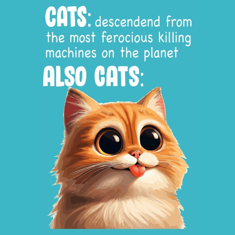 Chat mignon Meme