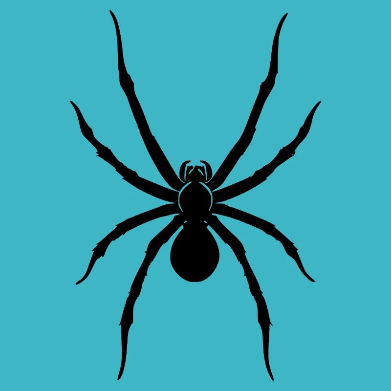 Araignée