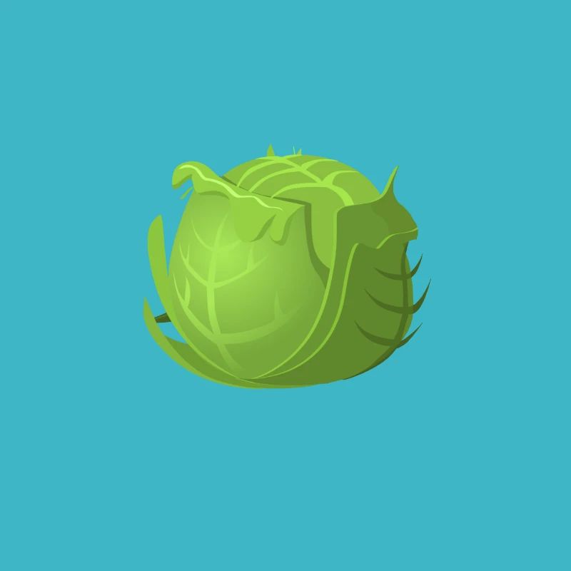 Cabbage