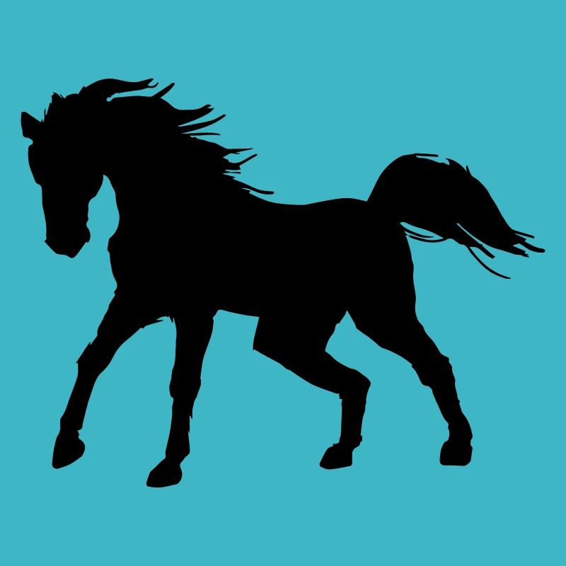 Pferd Schatten