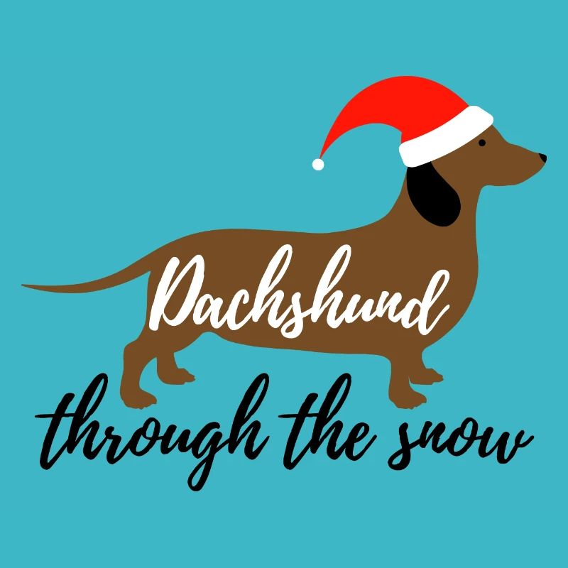 Dachshund through the snow