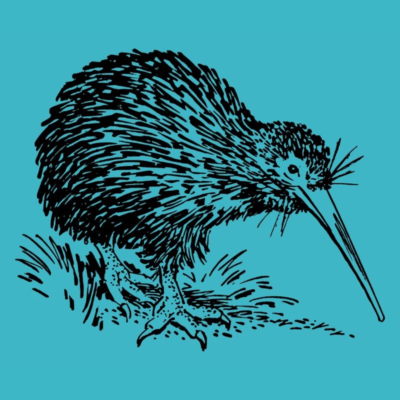 Kiwi Australien