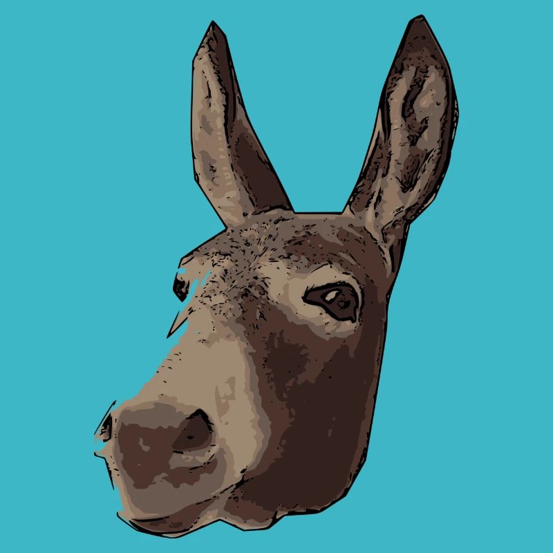 baudet