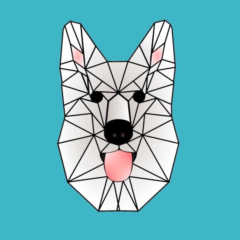 Wild White Wolf