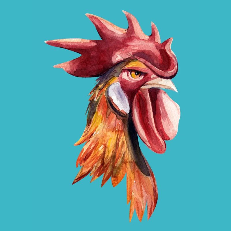 Coq