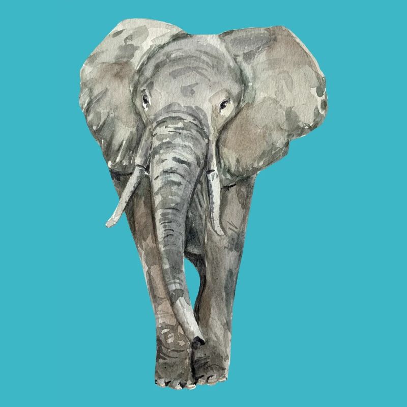 Éléphant