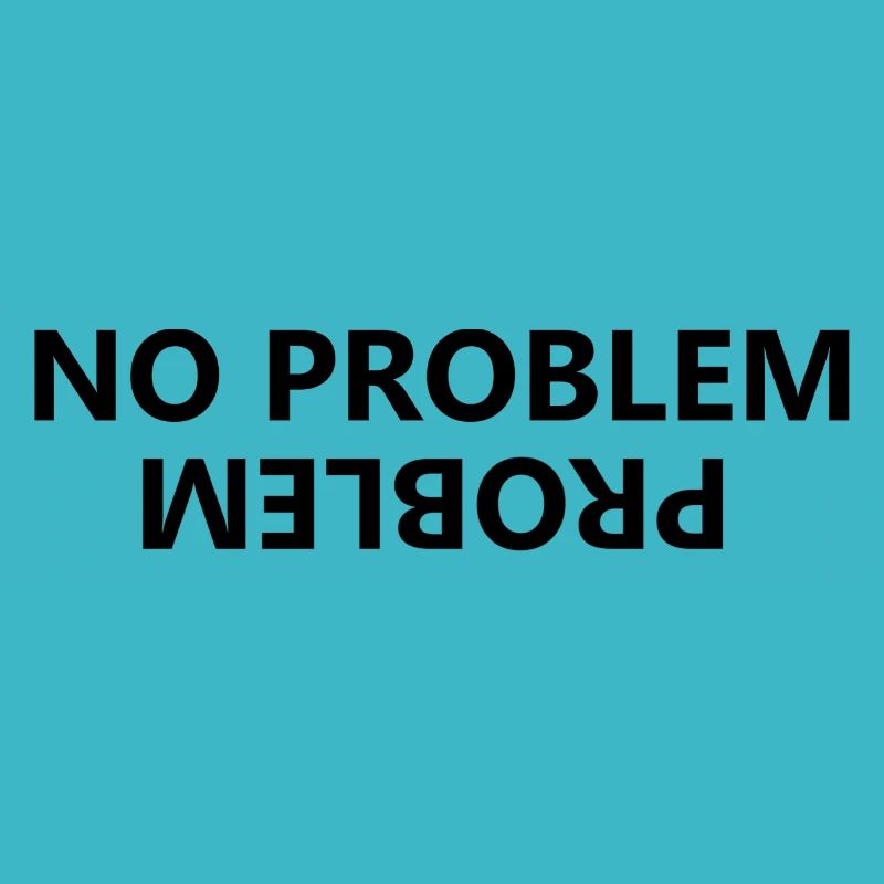 No Problem, Problem