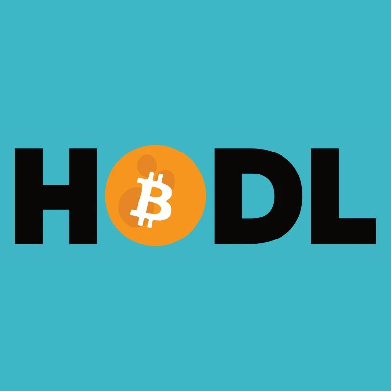 Bitcoin Plan B BTC Satoshi Crypto Hodl Maximaliste