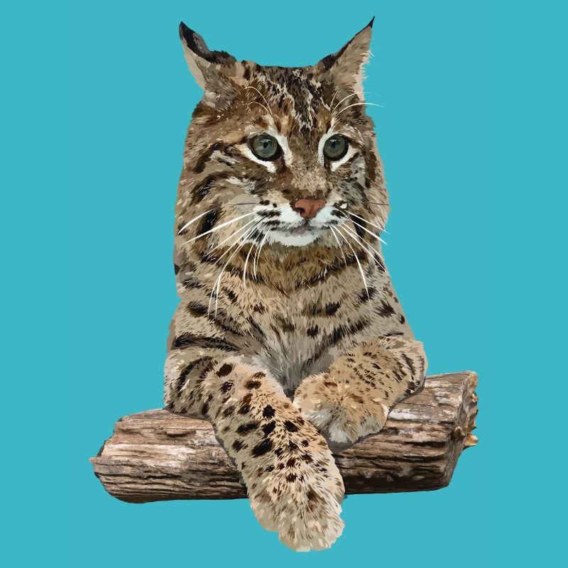Lynx
