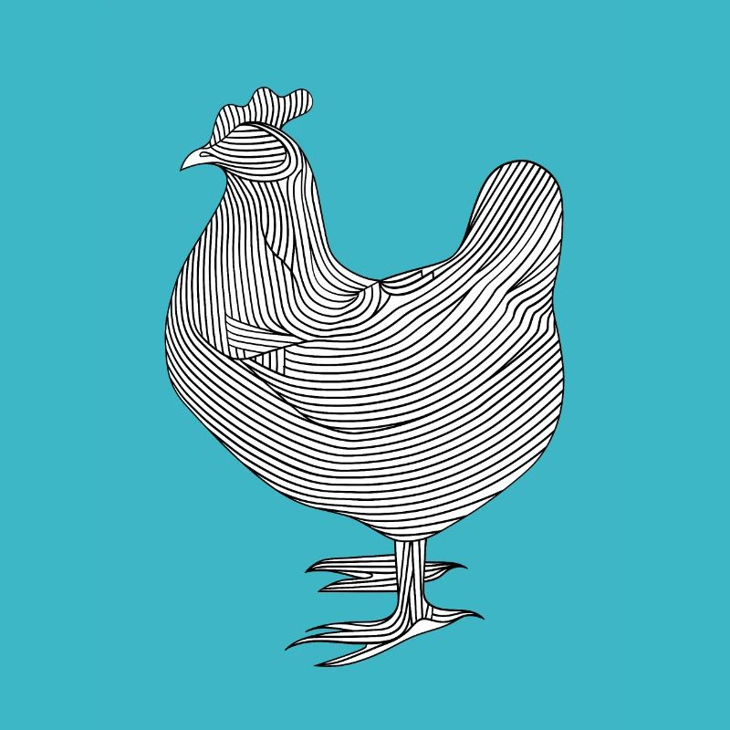 Lignes d’art poulet #chicken