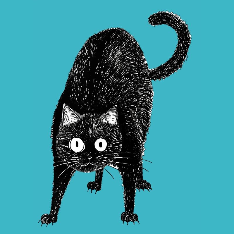 Schwarze Katze