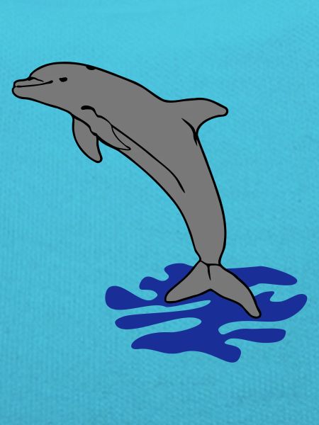 jumping dolphin water