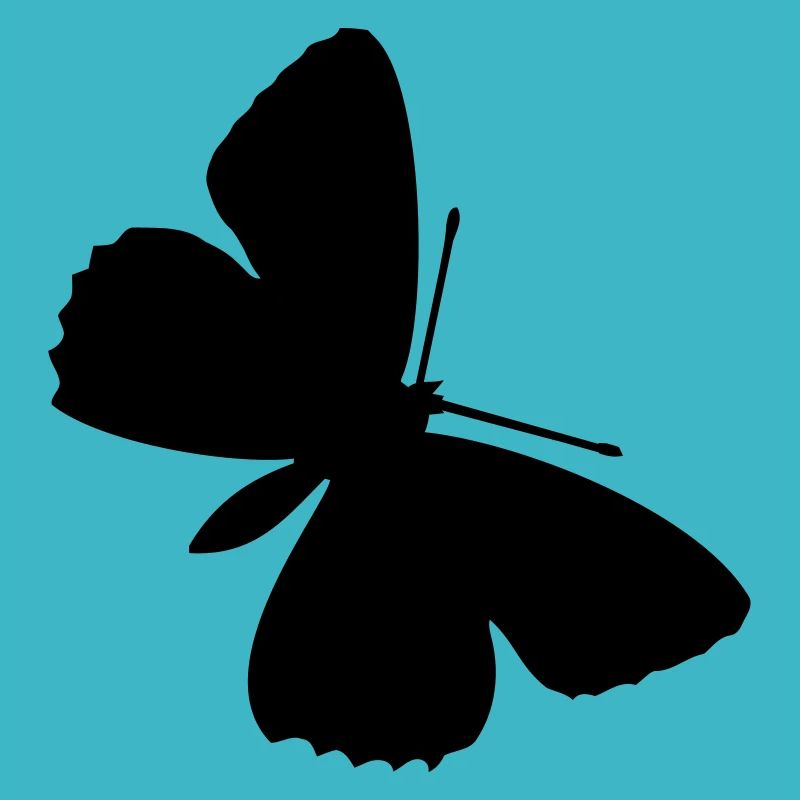 Schmetterlinge: Polyommatus Hippothoe