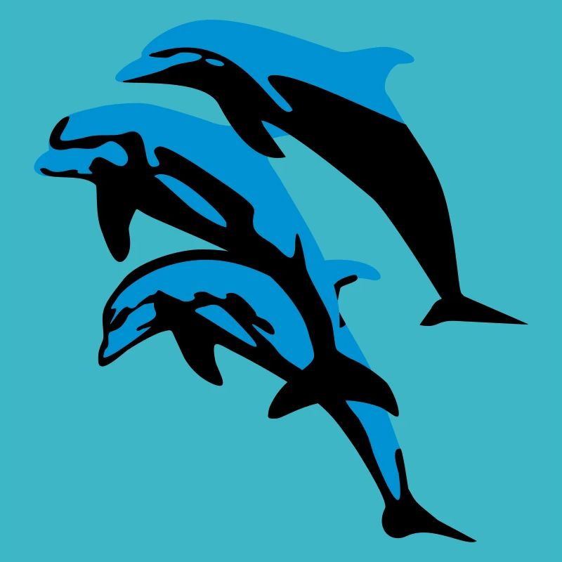 Dolphins - dauphins
