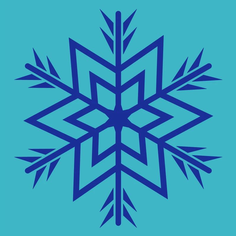 Snowflake / snowflake a 1c