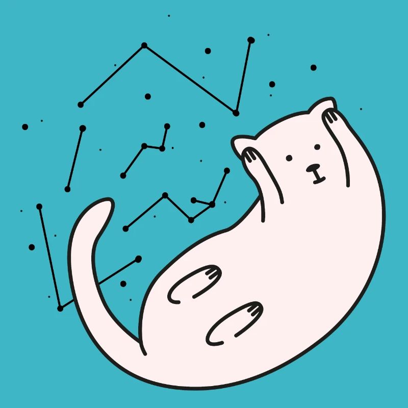 Space Cat Version 2