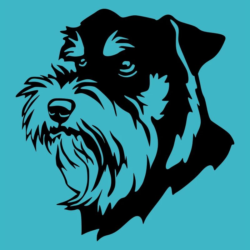 Tête Schnauzer