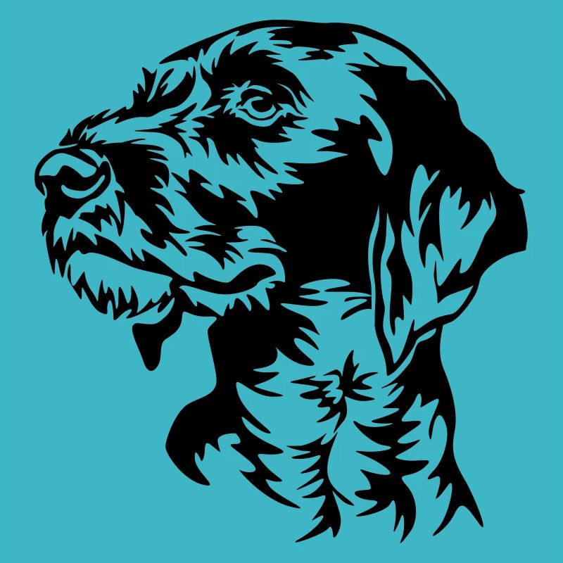 German Wirehaired Pointer head