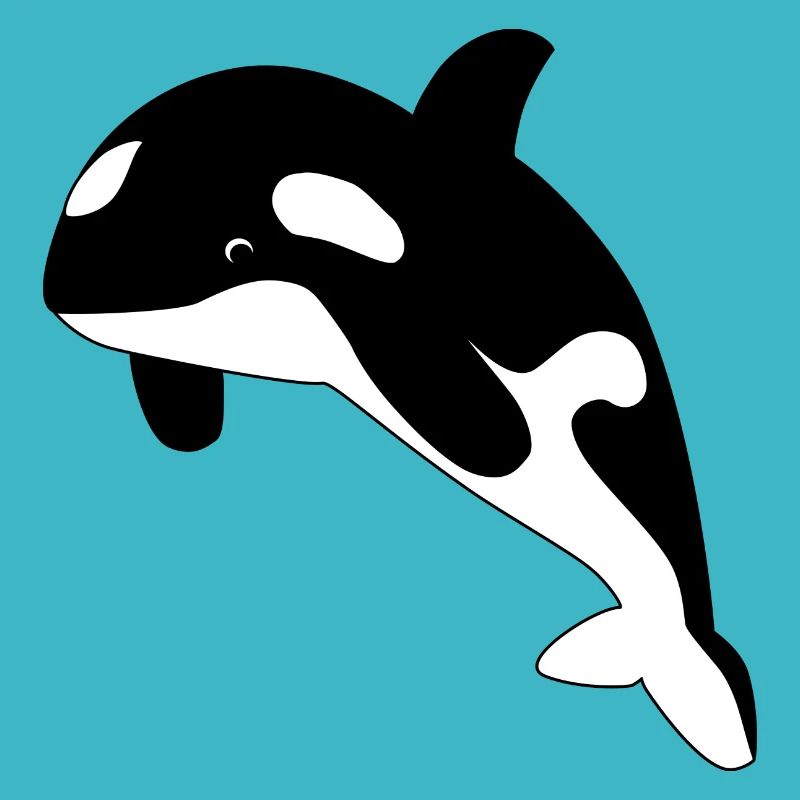Orca / Killer Whale