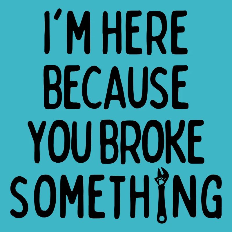 Im Here Because You Broke Something