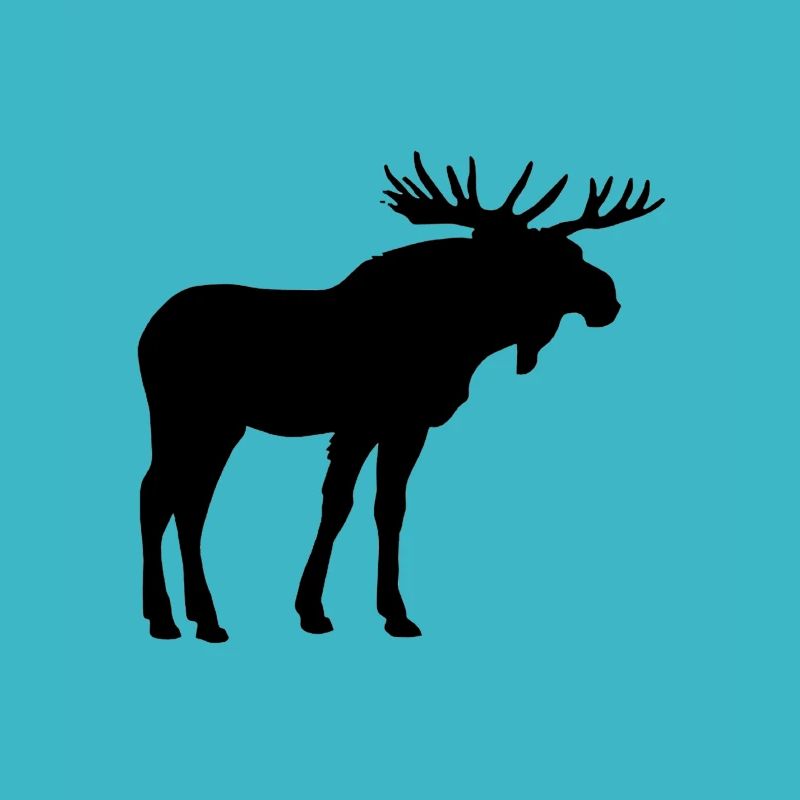 Moose are beautiful animals