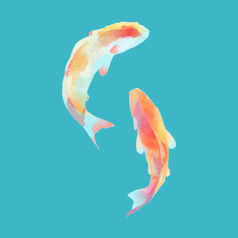 Koi Poisson Poisson