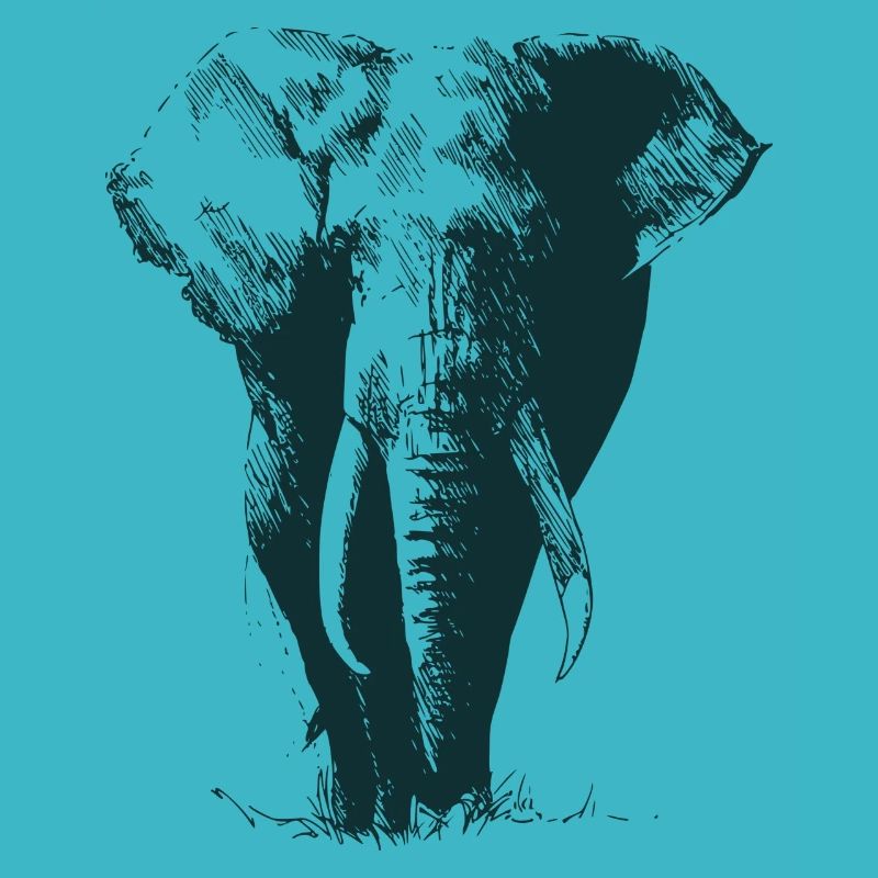 wunderschöner grosser Elefant schattiert