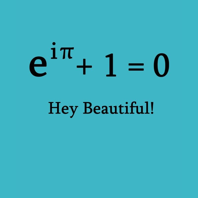 Euler identity math mathematician nerd science pi