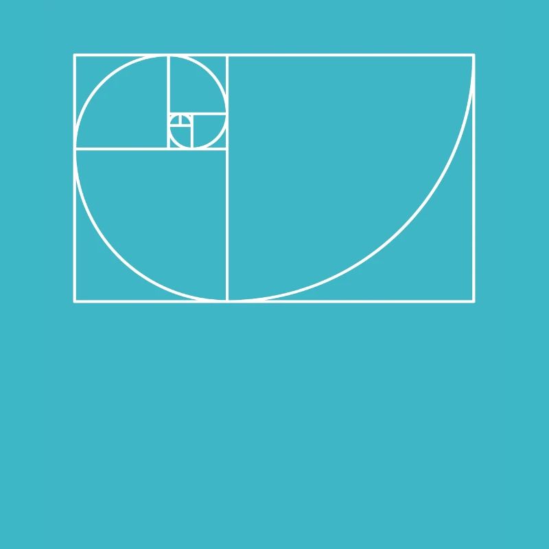 Fibonacci spiral - golden section in white