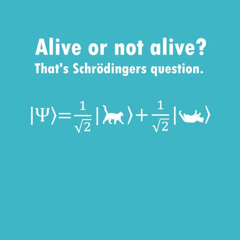 Schrödingers Katze - Physiker Geschenk Physik Nerd