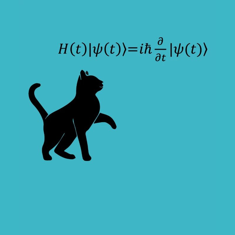 Chat De Schrödinger - physicien cadeau de physique nerd