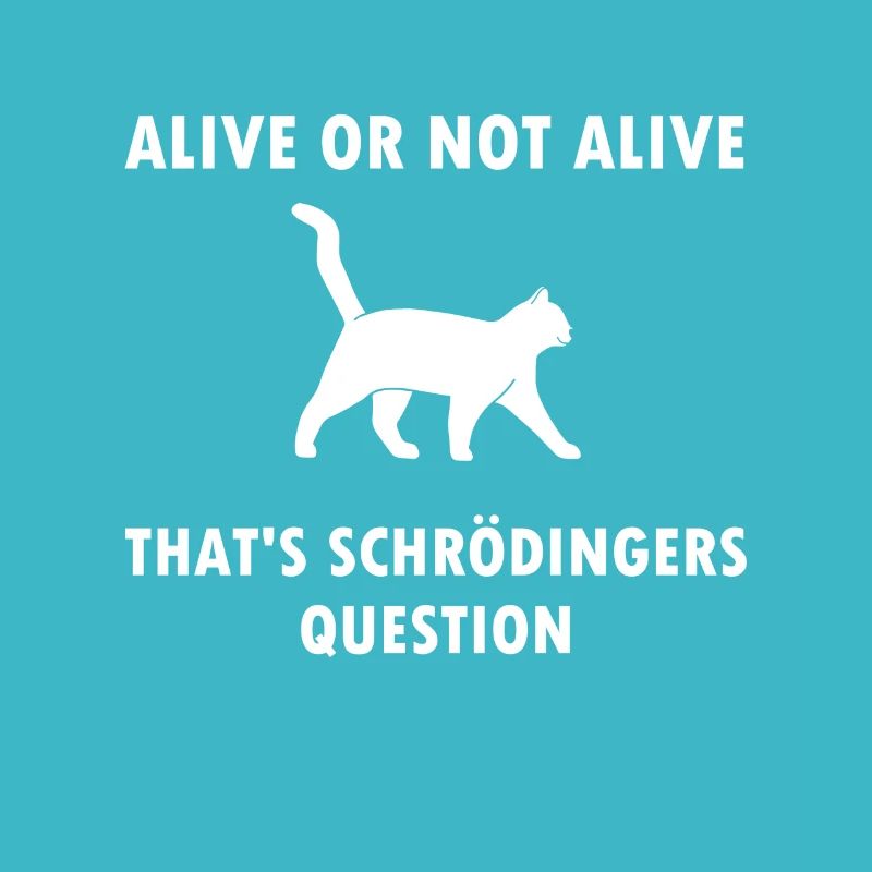 Schrödingers Katze - Physiker Geschenk Physik Nerd