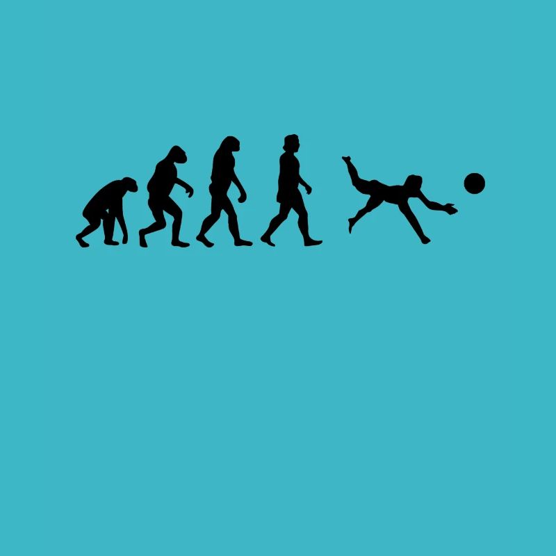 Volley-ball Evolution Beach Volleyball cadeau