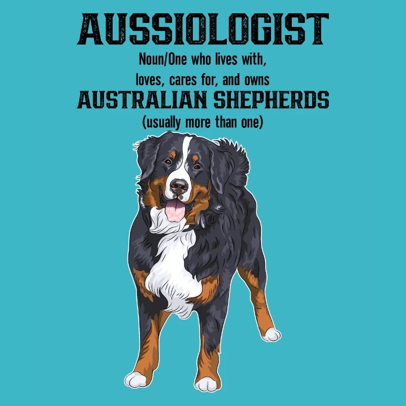 Australischer Schäferhund