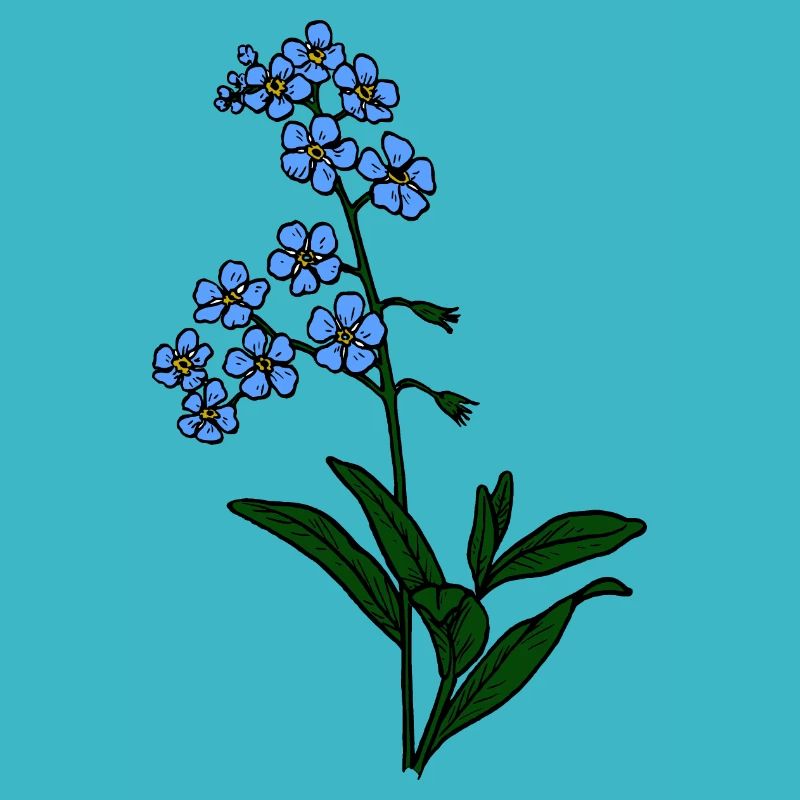 Forget-me-not blue
