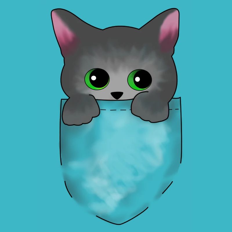 Bébé chat Perser Birmanie