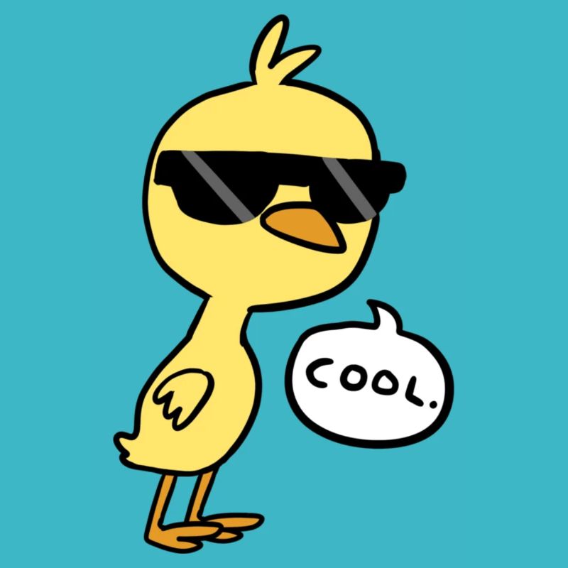 Cool Chick