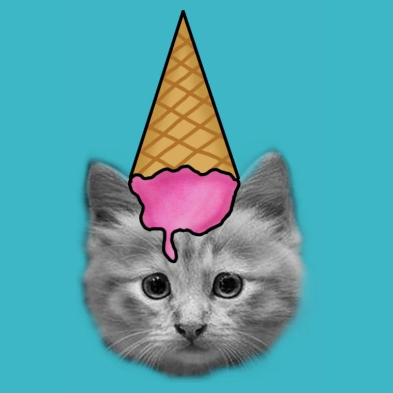 Chat avec de la crème glacée comme chapeau