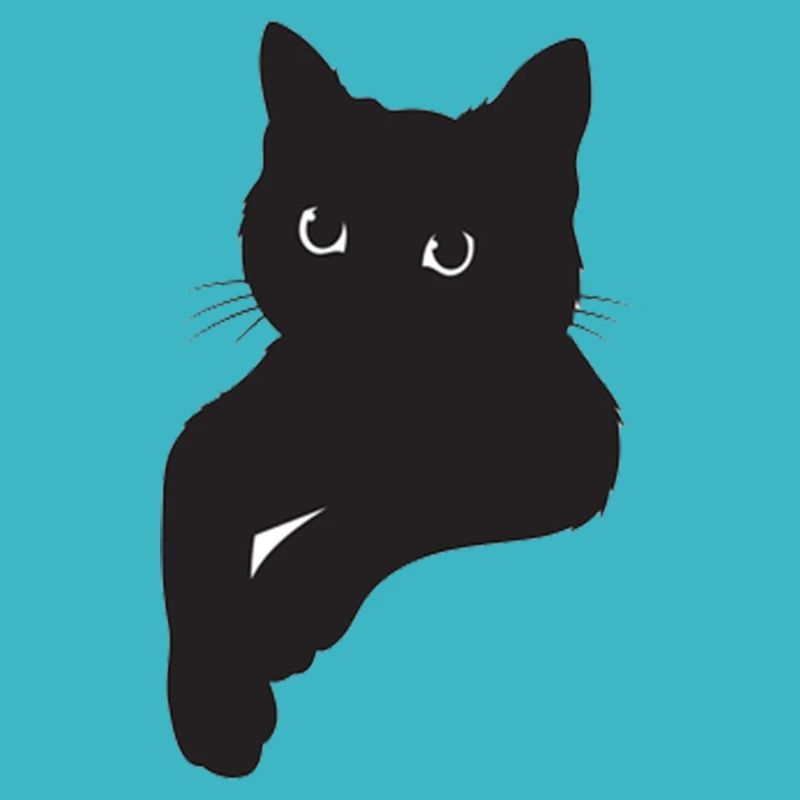 Schwarze Katze Pose