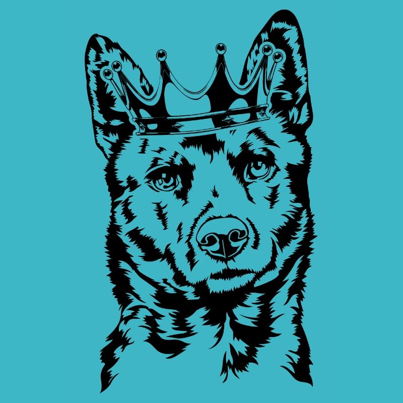 Kai Ken Krone Chiens Chien Wilsigns