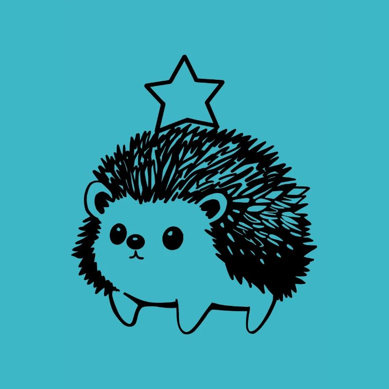 Little hedgehog with star