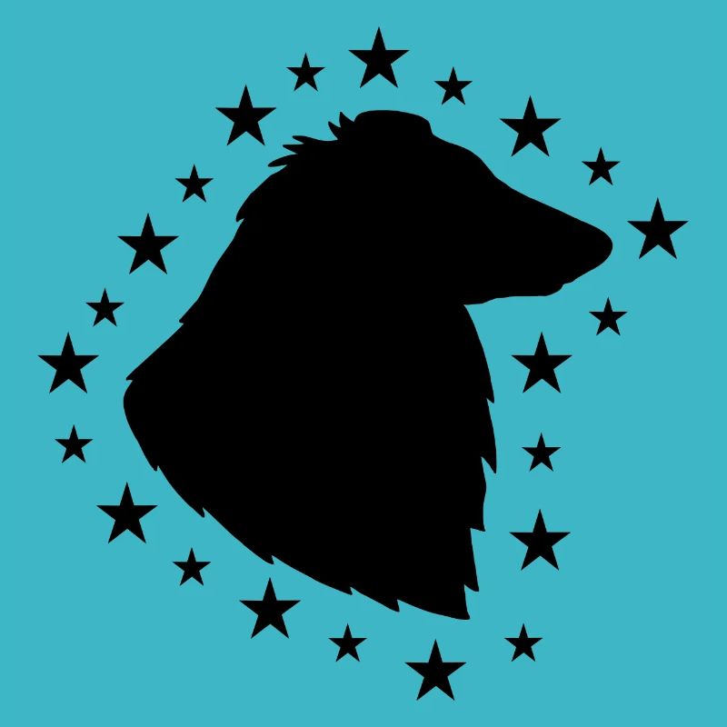 Collie
