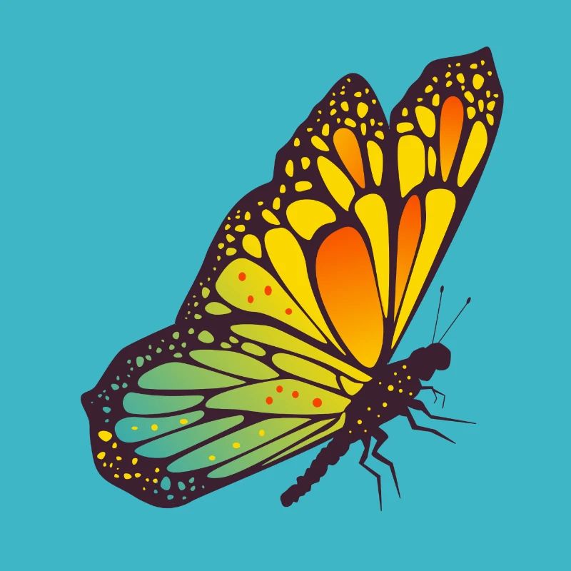 Schmetterling
