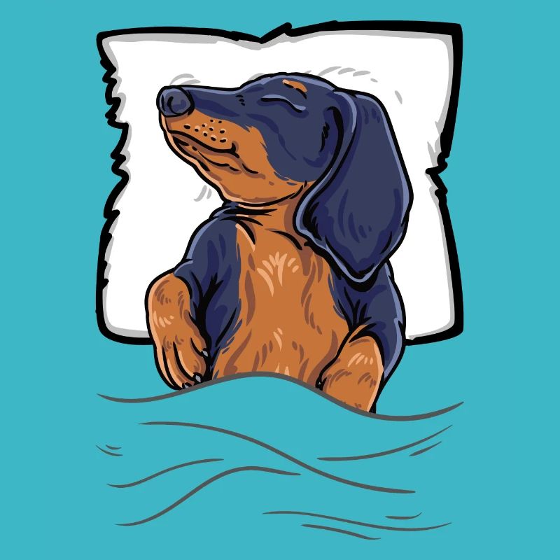 Schlafender Dackel Dachshund Teckel Bett